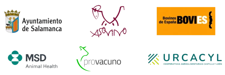 colaboradores